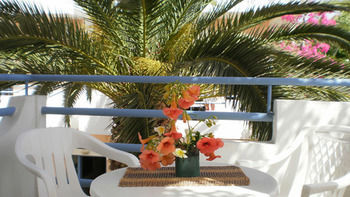 Sirena Apartments Agia Pelagia 외부 사진