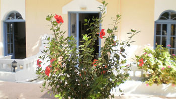 Sirena Apartments Agia Pelagia 외부 사진